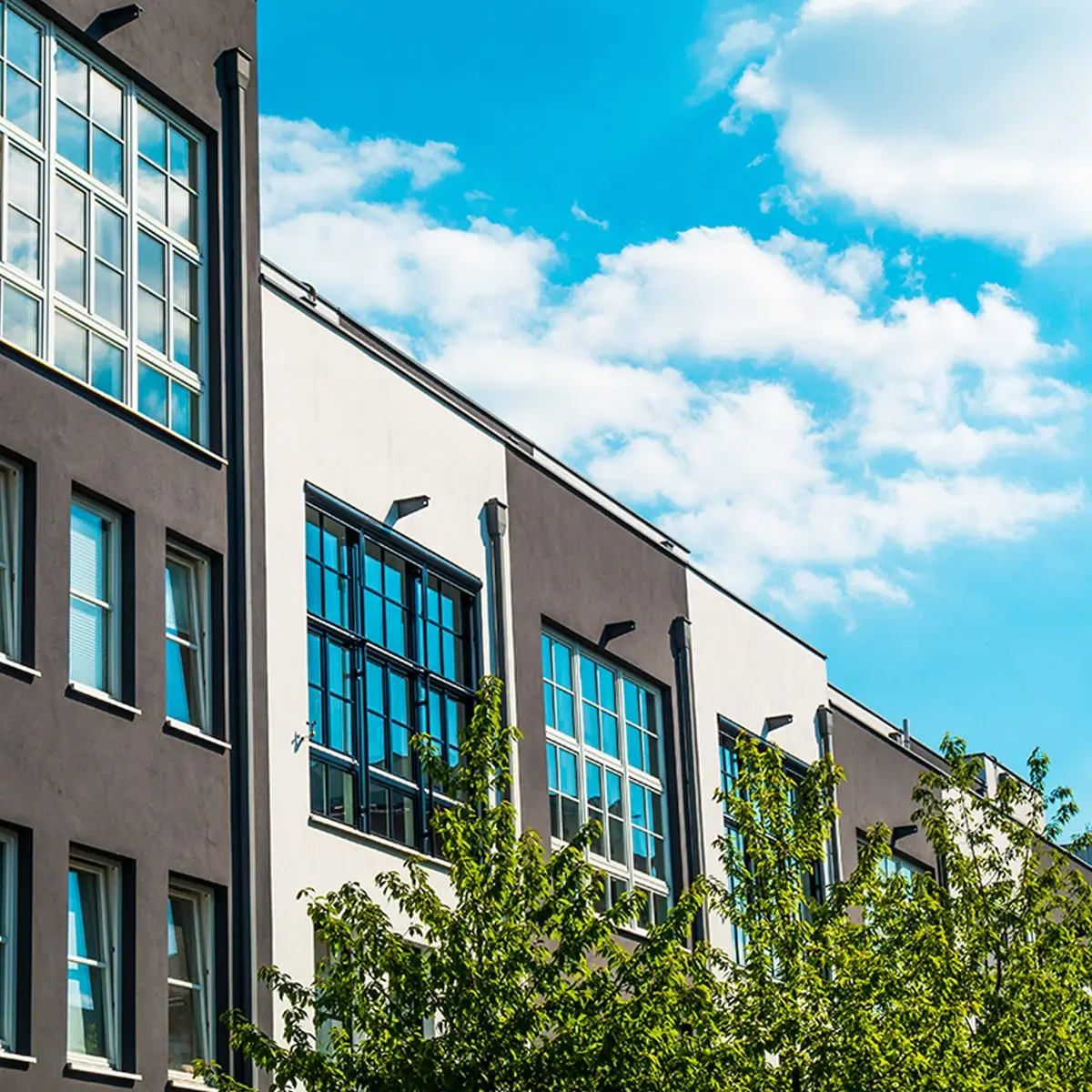 Flachdachsanierung-von-Reihenhäusern-vom Dachdecker in Langenfeld